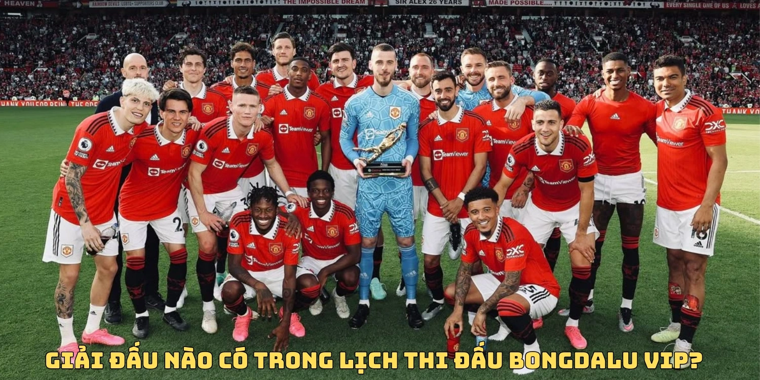 Bongdalu có đầy đủ các giải đấu cập nhật trên Web